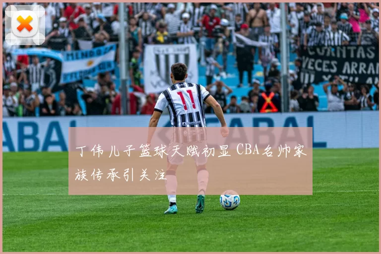 丁伟儿子篮球天赋初显 CBA名帅家族传承引关注
