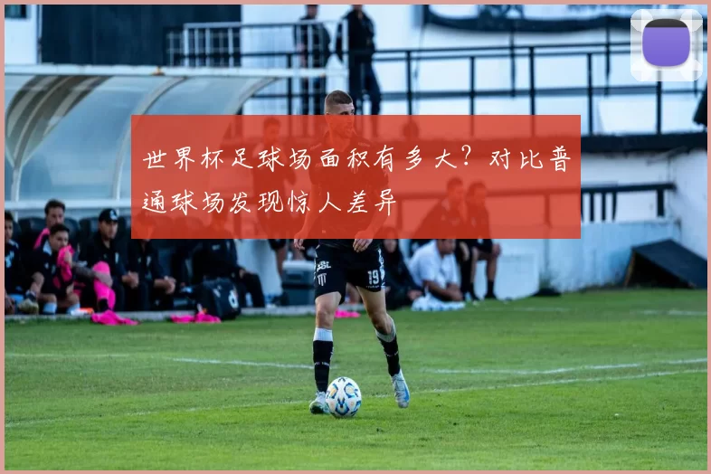 世界杯足球场面积有多大?对比普通球场发现惊人差异