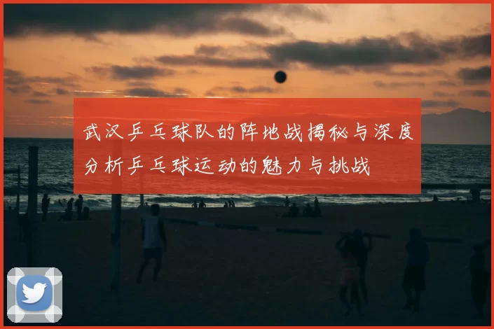 武汉乒乓球队的阵地战揭秘与深度分析乒乓球运动的魅力与挑战