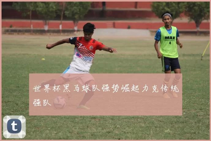 世界杯黑马球队强势崛起力克传统强队