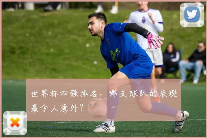世界杯四强排名,哪支球队的表现最令人意外?