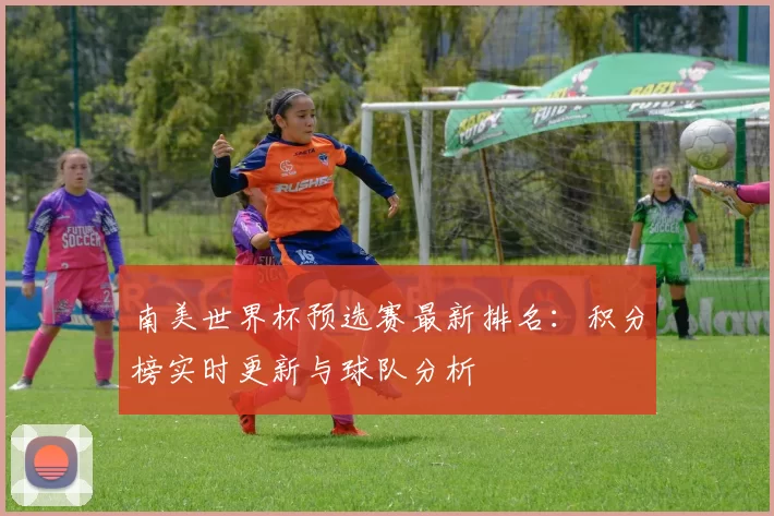 南美世界杯预选赛最新排名:积分榜实时更新与球队分析