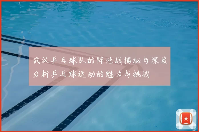武汉乒乓球队的阵地战揭秘与深度分析乒乓球运动的魅力与挑战