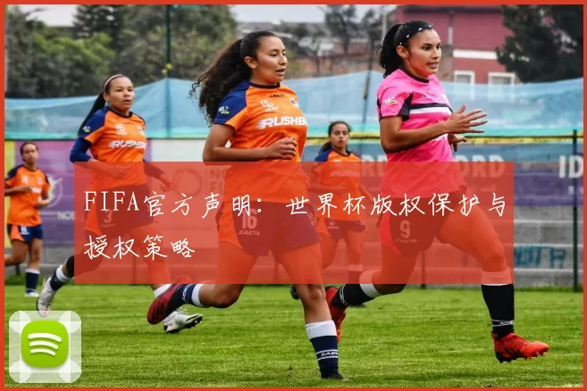 FIFA官方声明:世界杯版权保护与授权策略