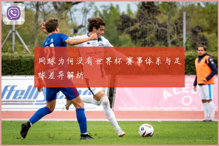 网球为何没有世界杯 赛事体系与足球差异解析