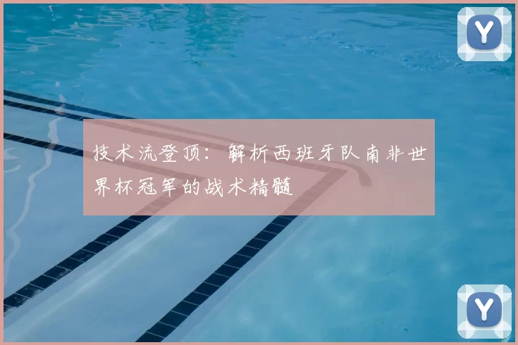 技术流登顶：解析西班牙队南非世界杯冠军的战术精髓