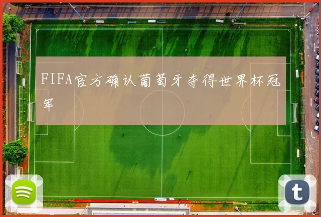 FIFA官方确认葡萄牙夺得世界杯冠军