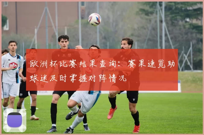 欧洲杯比赛结果查询:赛果速览助球迷及时掌握对阵情况