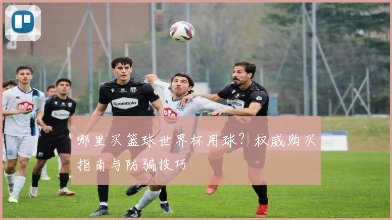 哪里买篮球世界杯用球？权威购买指南与防骗技巧