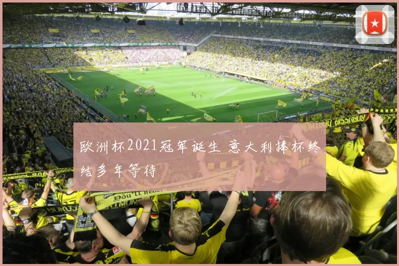 欧洲杯2021冠军诞生 意大利捧杯终结多年等待