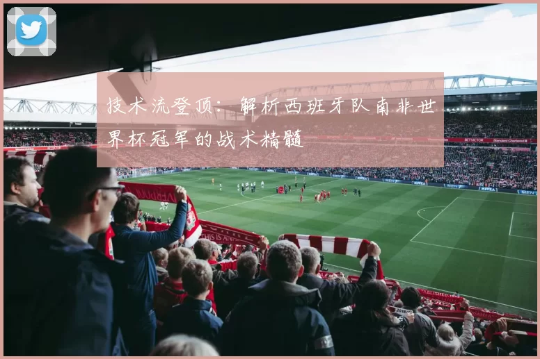 技术流登顶：解析西班牙队南非世界杯冠军的战术精髓