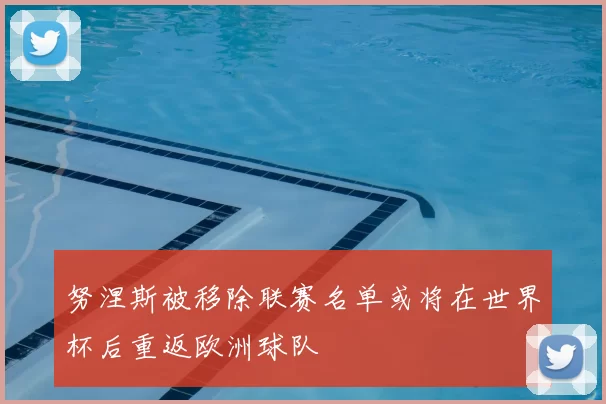 努涅斯被移除联赛名单或将在世界杯后重返欧洲球队