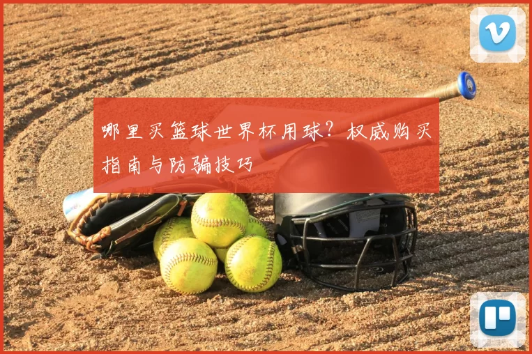哪里买篮球世界杯用球?权威购买指南与防骗技巧
